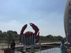 -微山湖红荷湿地景区