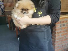 -老姐石板烧烤+铜炭火锅(总店)