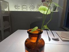 -春树下·树屋花房西餐厅(罍街AS1980店)