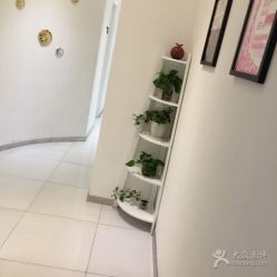 点击看大图 -MedSkinCare科技祛痘肌肤修护中心
