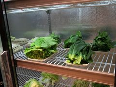 涮菜自选-洪湘记川湘·甲鱼馆(四海凯悦美食广场店)