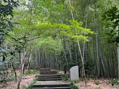 -杭州半山国家森林公园