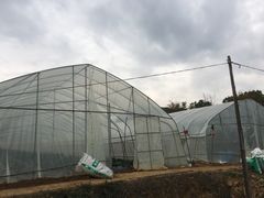 -武汉开心果园农业发展有限公司