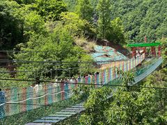 -栾川竹海野生动物园