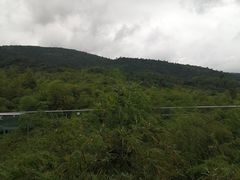 -陶祖圣境风景区