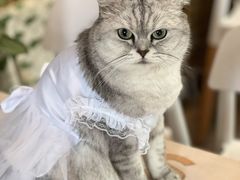 -小时光咖啡馆(北锣鼓巷店)