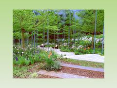 -深圳市中科院仙湖植物园