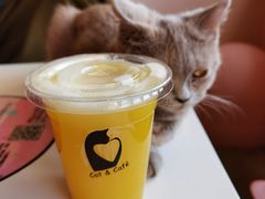 -喵匠猫主题咖啡(凯德和平广场店)