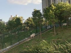 -太原动物园