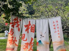 -广州市帽峰山景区