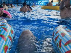 -杭州开元森泊度假乐园