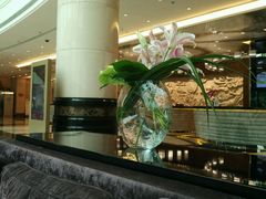-上海浦东华美达大酒店