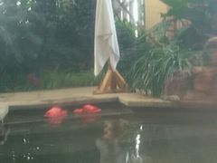 -郑州银基黄帝宫御温泉