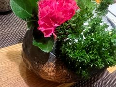 -樱の千渡日式料理·铁板烧•烧鸟(金盛田广场店)