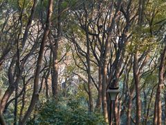 -杭州半山国家森林公园