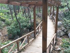 -大岭沟猕猴桃谷风景区
