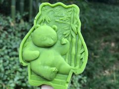 -成都大熊猫繁育研究基地