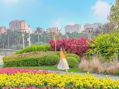 -文华公园(禅城区)