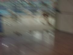 -奥冠体育华师附中恒温游泳馆