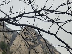 -北京凤凰岭
