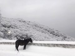 -太子岭滑雪场