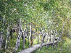 -塞罕坝国家级自然保护区