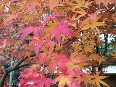 -白马涧龙池景区