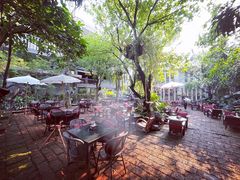 -Fern Forest Cafe