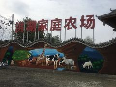 -洪湖家庭农场·团建·露营·会议