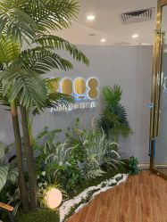 -八佰伴8008星级形象店