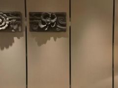 -燕春园中餐厅-北大博雅国际酒店