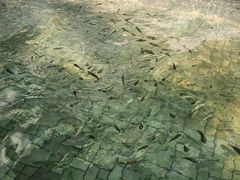 -盛泰恐龙谷温泉