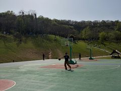 -羊山湖公园