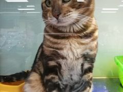 -乐宠宠物店(世纪金源店)