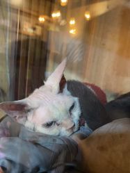 -青木造型HAIR·あおき髪を刈る潮人店