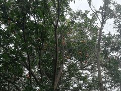 -亮河湾山庄