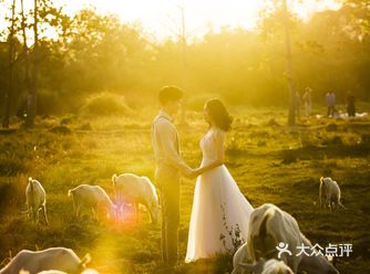 婚礼上不容小觑的四大金刚|谁更重要?!第一弹