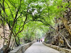 -北京上方山国家森林公园