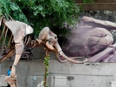 -中国第四纪冰川遗迹陈列馆