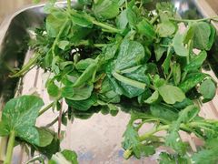 -金鼎雪山牦牛杂火锅(理县总店)