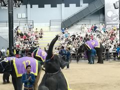 -东芭乐园