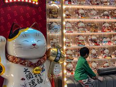 -万达广场(龙湖店)