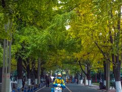 -四川大学(华西校区)