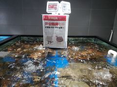 -盒马鲜生(馥邦国际店)