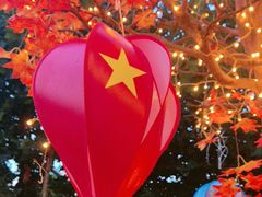 -后湖小院·乡野田园菜