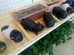 景观位-兰湘子·湘菜小炒(民乐园店)