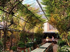 -The Grounds of Alexandria