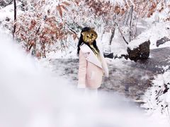-紫金山天文台