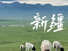 -可可托海景区