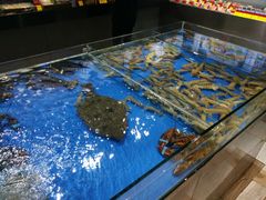 -永红源·啤酒烧烤海鲜大排档(台柳路店)